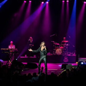 The New York Bee Gees